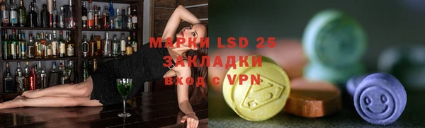 спайс Баксан