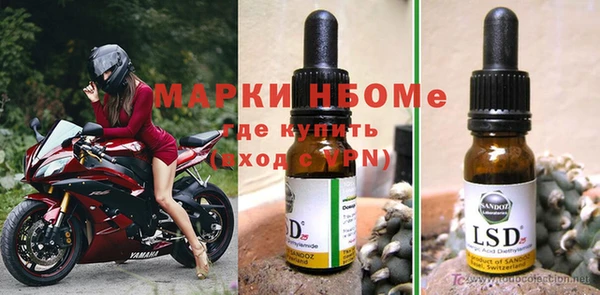 спайс Баксан