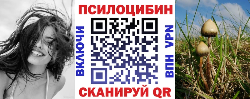 Галлюциногенные грибы мухоморы  Пудож 